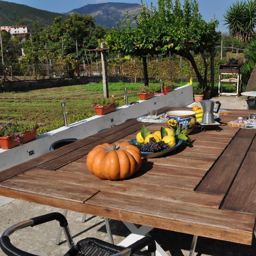 Contrada Vigna Bed and Breakfast Vietri Εξωτερικό φωτογραφία